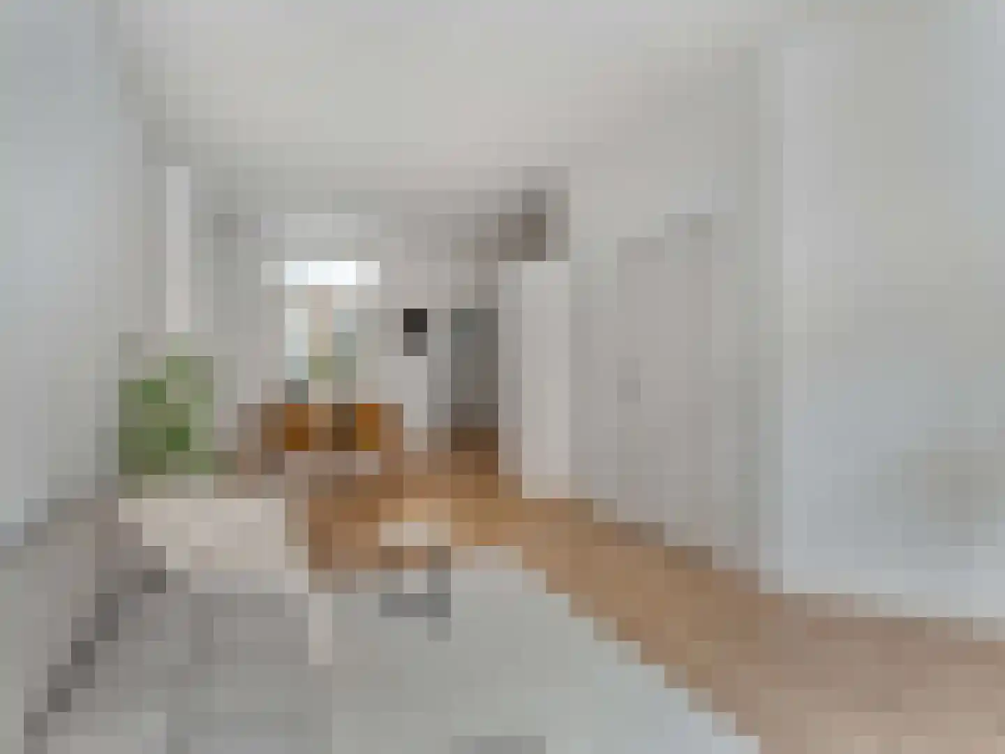 Borneostraat 17 Utrecht thumbnail 5