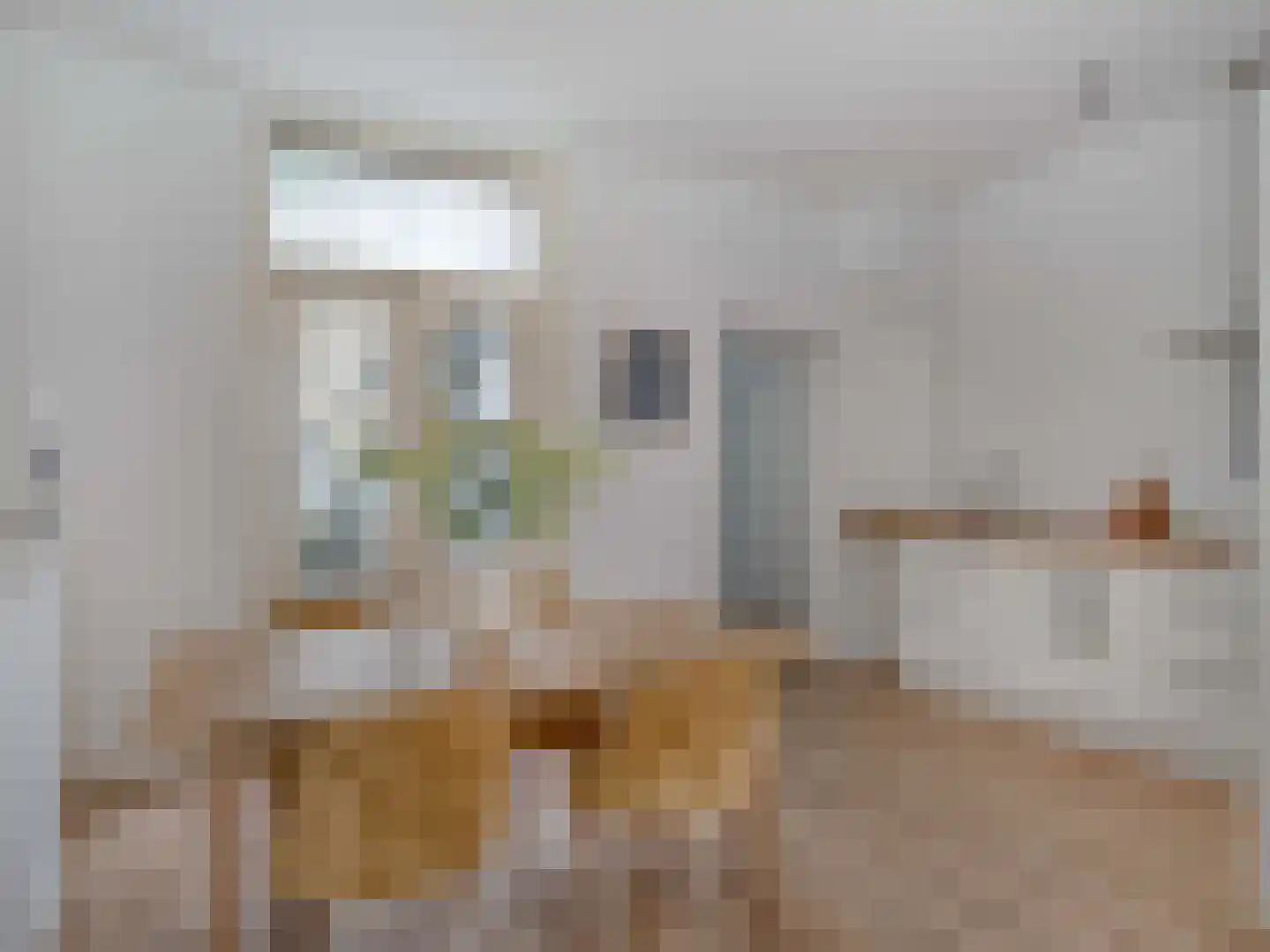 Borneostraat 17 Utrecht thumbnail 6