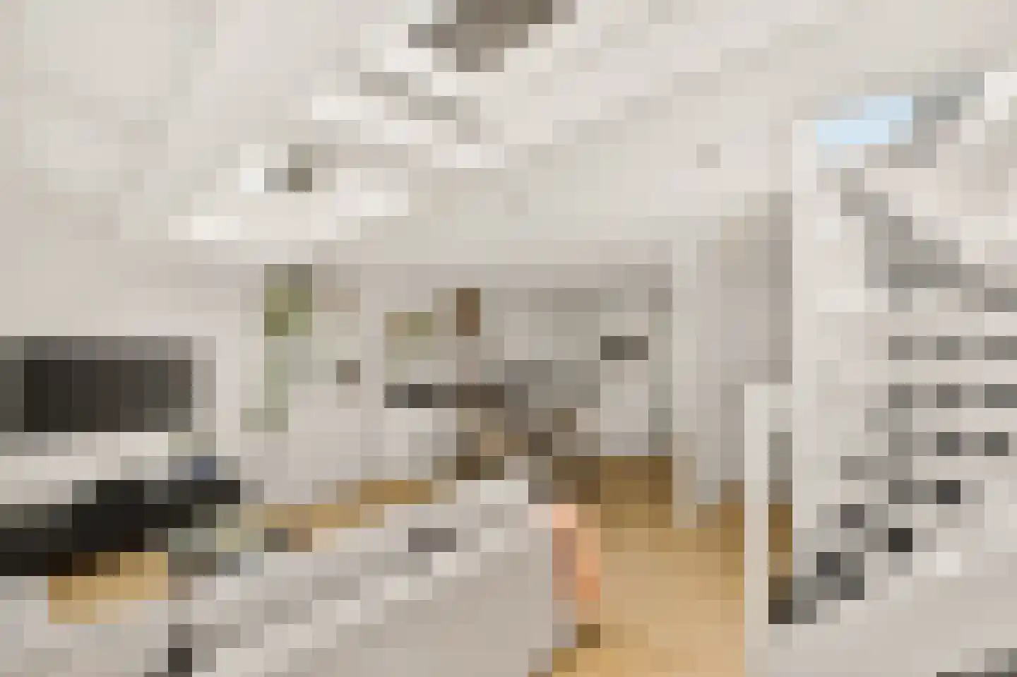 Borneostraat 18 E Amsterdam thumbnail 8