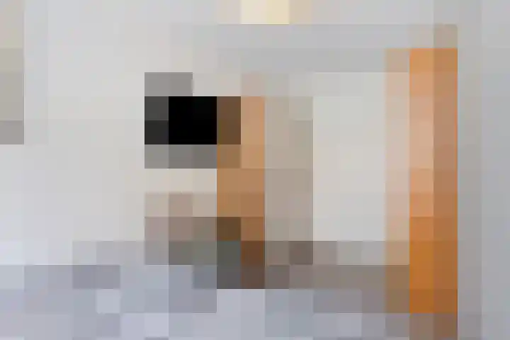 Borneostraat 19 Tilburg thumbnail 17