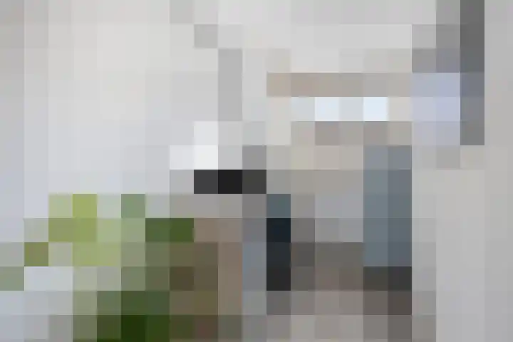 Borneostraat 19 Tilburg thumbnail 18