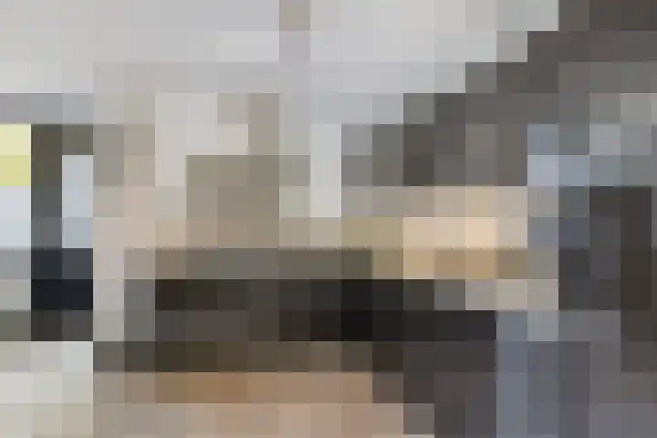 Borneostraat 19 Tilburg thumbnail 7