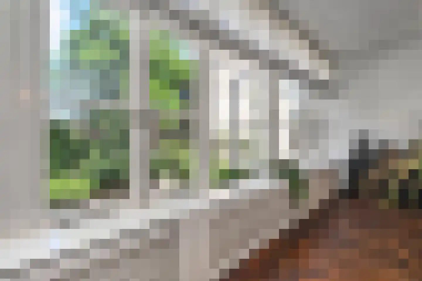 Borneostraat 195 Den Haag thumbnail 23