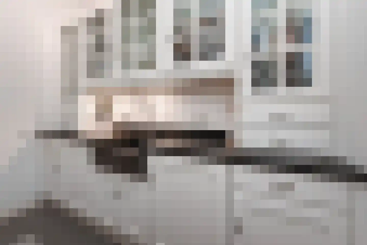 Borneostraat 195 Den Haag thumbnail 26