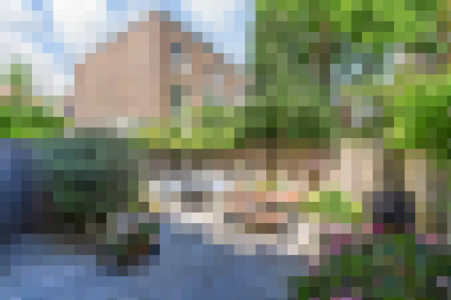 Borneostraat 195 Den Haag thumbnail 5