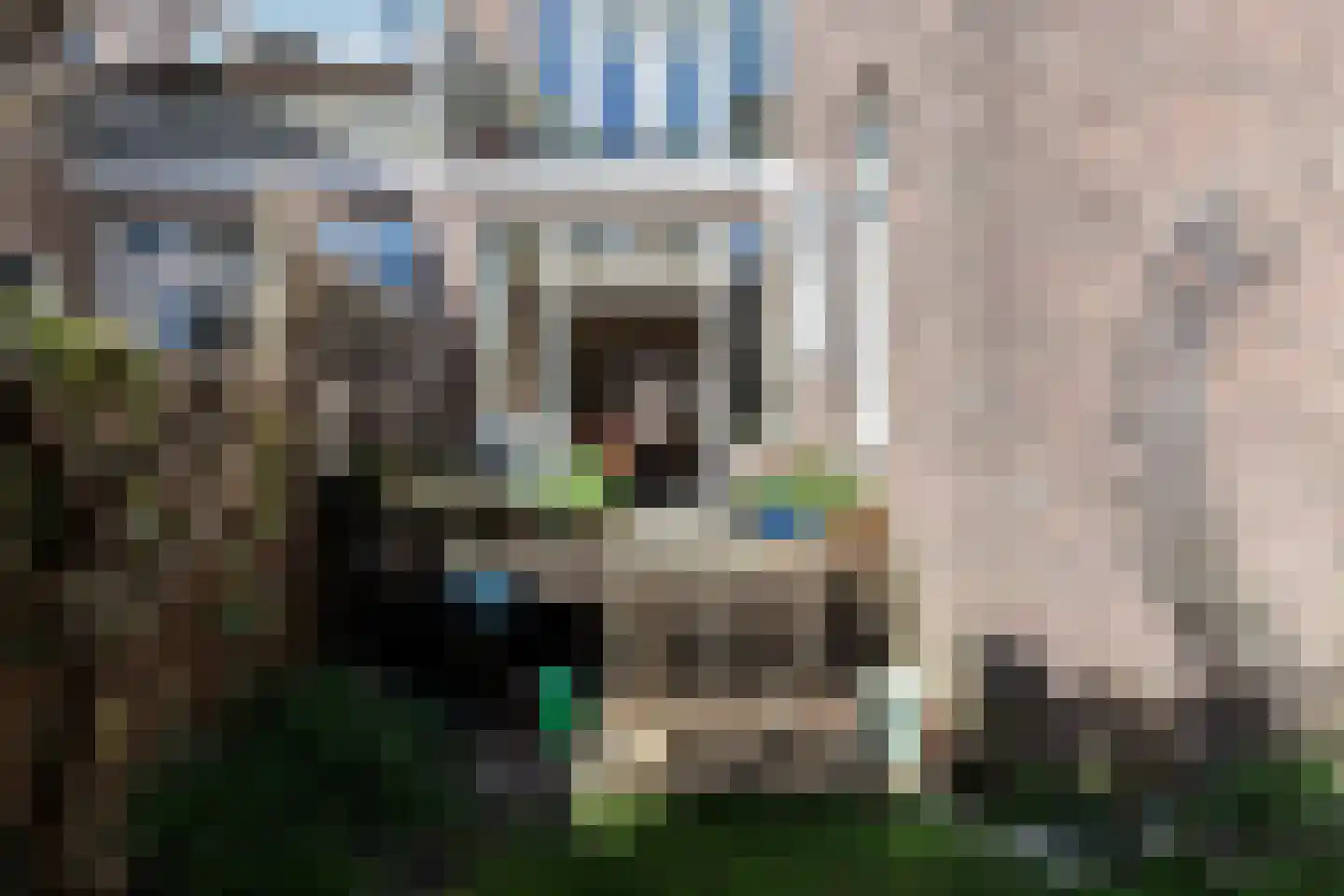 Borneostraat 20 Dordrecht thumbnail 19