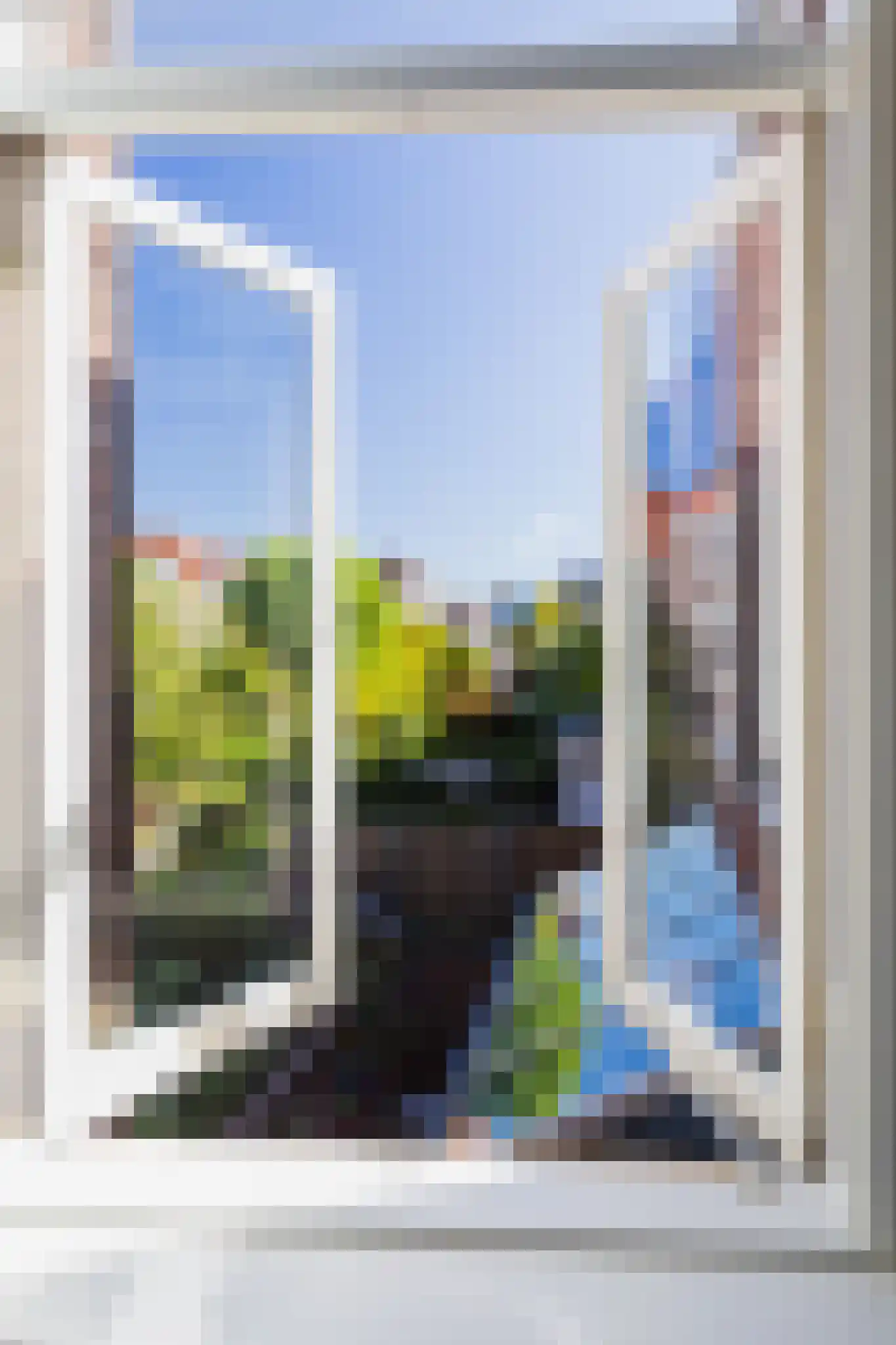 Borneostraat 207 Den Haag thumbnail 27