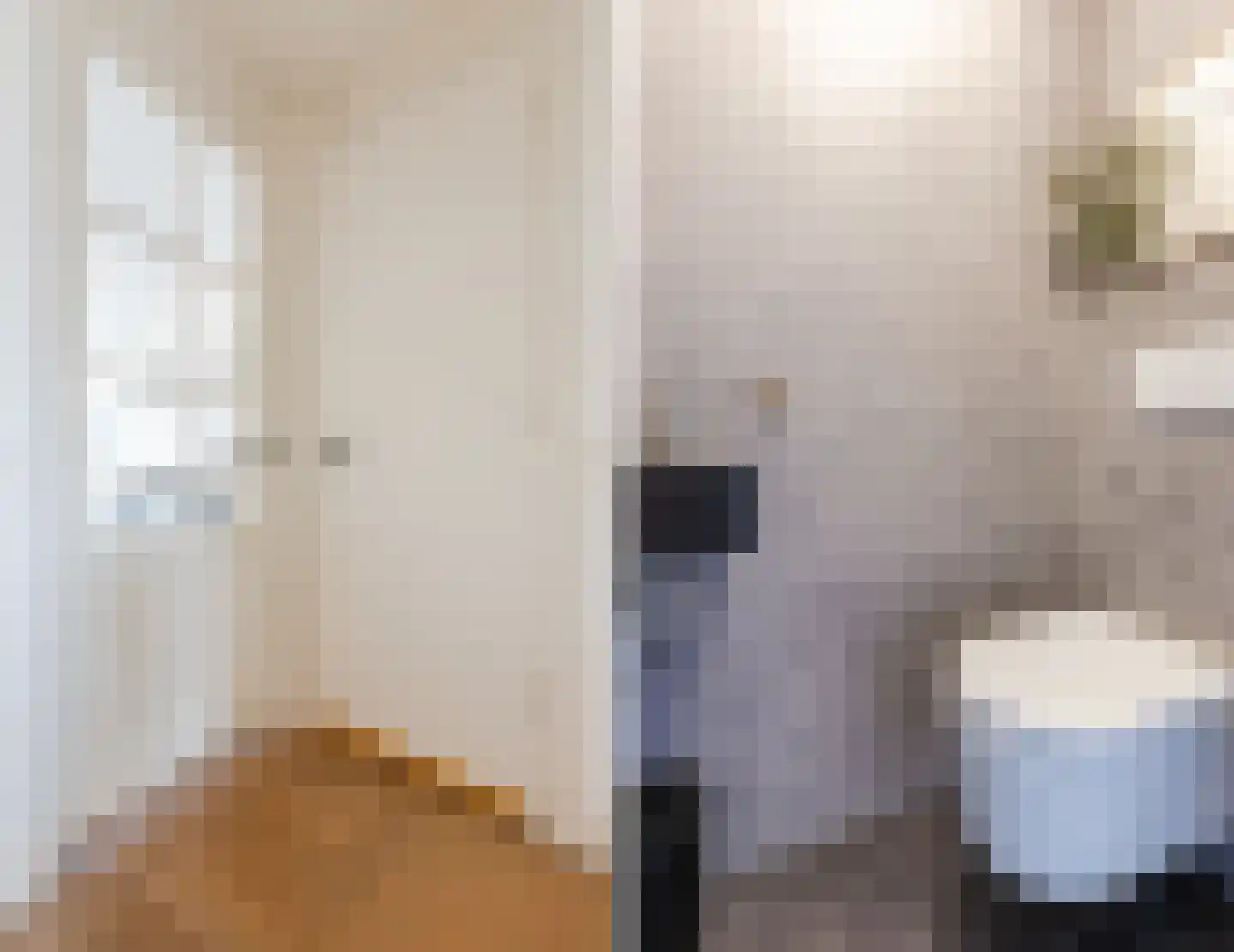Borneostraat 21 3 Amsterdam thumbnail 12