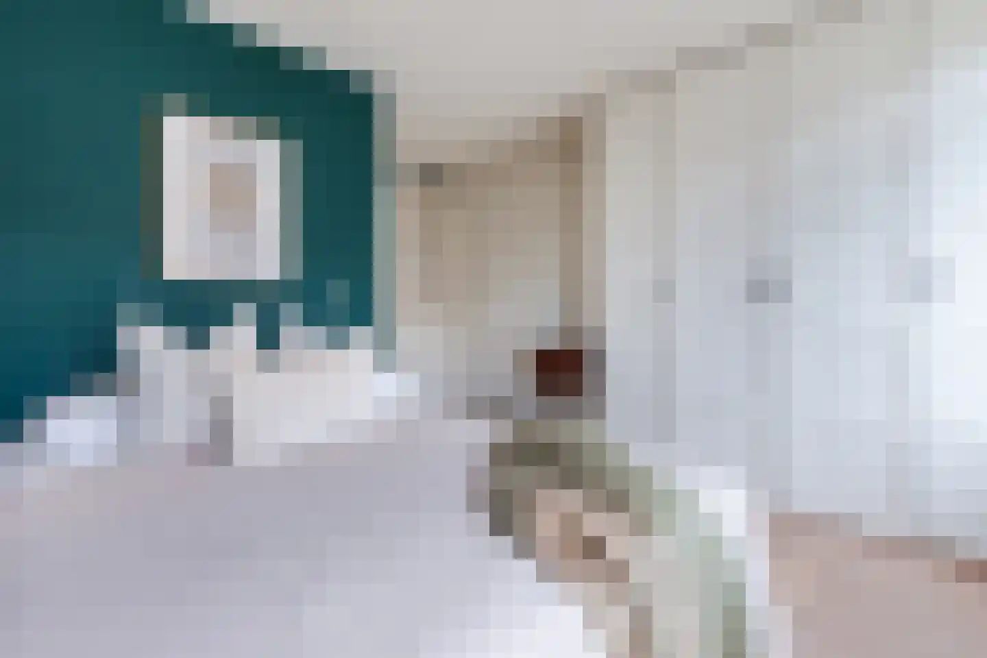 Borneostraat 21 3 Amsterdam thumbnail 19