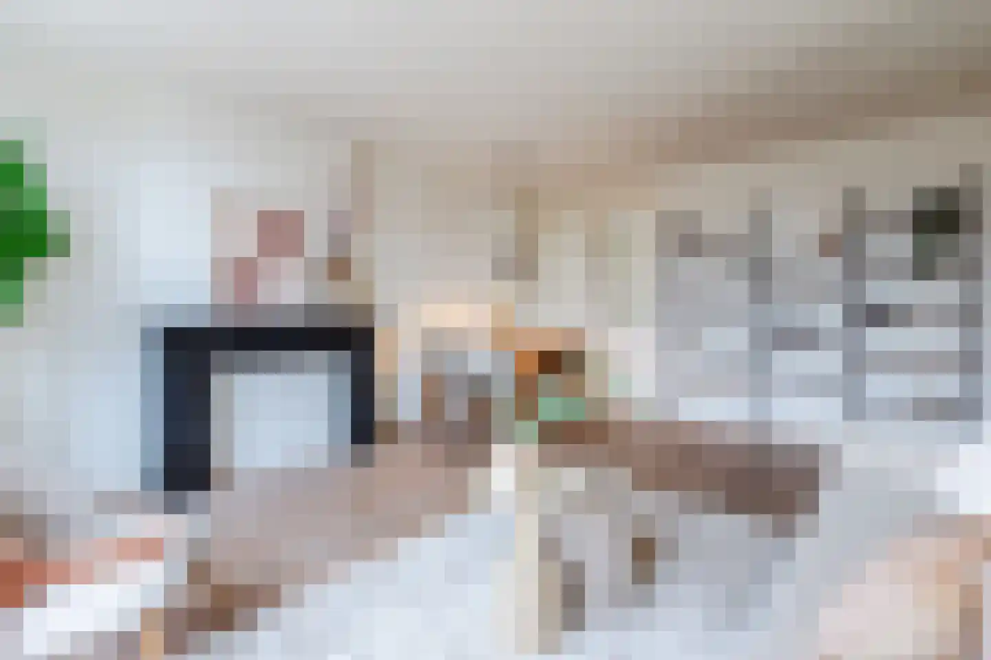 Borneostraat 21 3 Amsterdam thumbnail 9