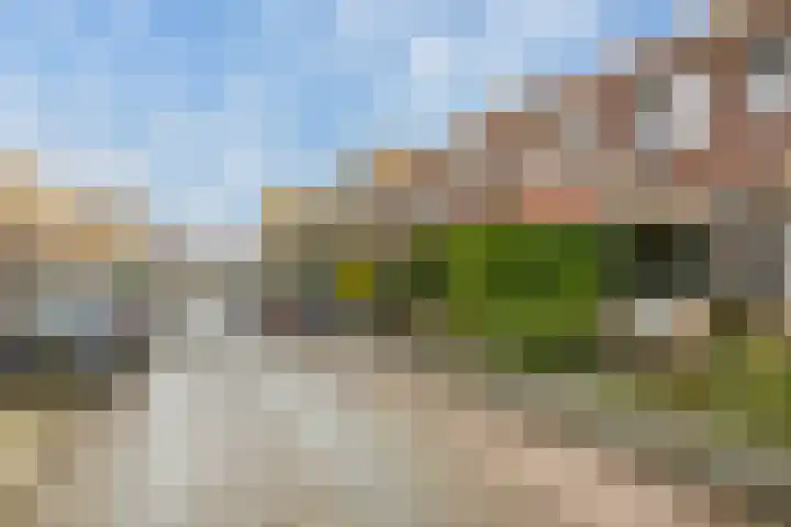 Borneostraat 24 Vlaardingen thumbnail 7