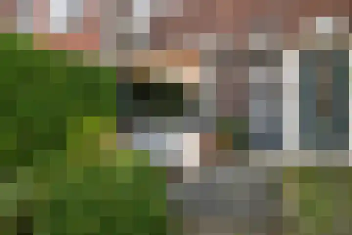 Borneostraat 24 Vlaardingen thumbnail 8