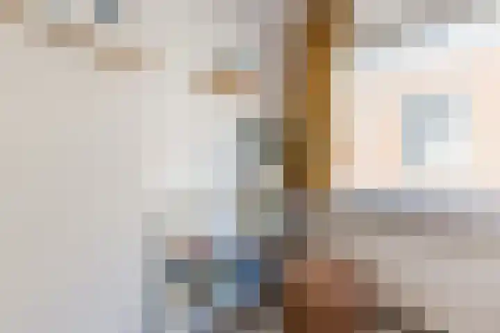 Borneostraat 27 Utrecht thumbnail 30