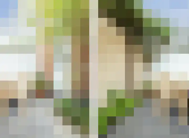 Borneostraat 27 Utrecht thumbnail 43