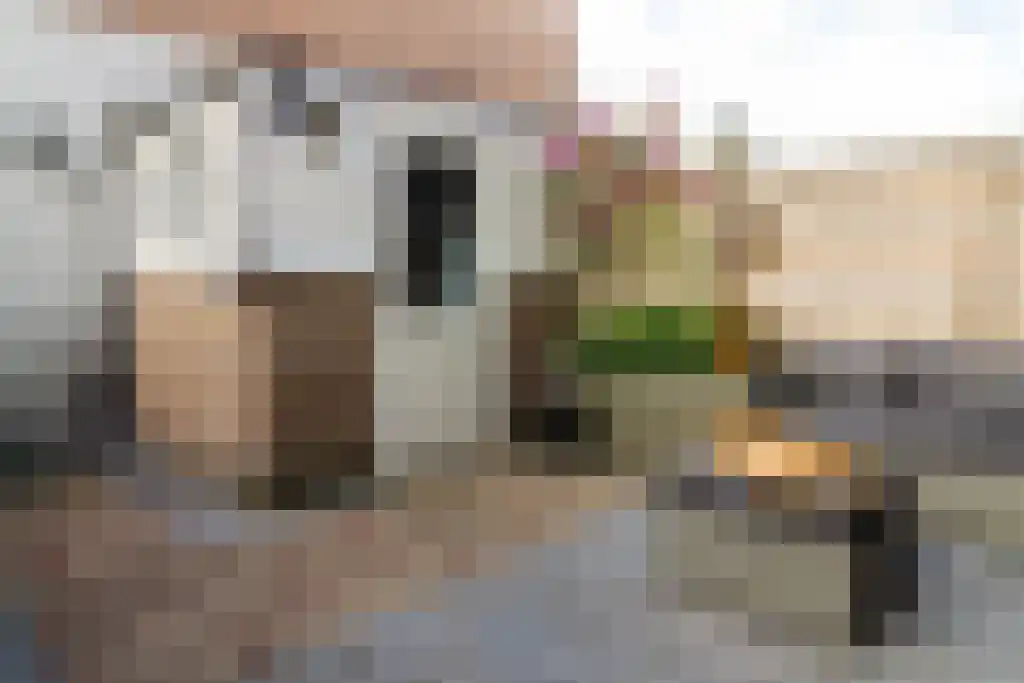 Borneostraat 28 Heemstede thumbnail 18