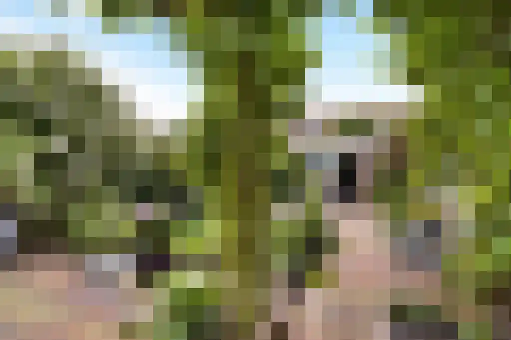 Borneostraat 32 Heemstede thumbnail 5