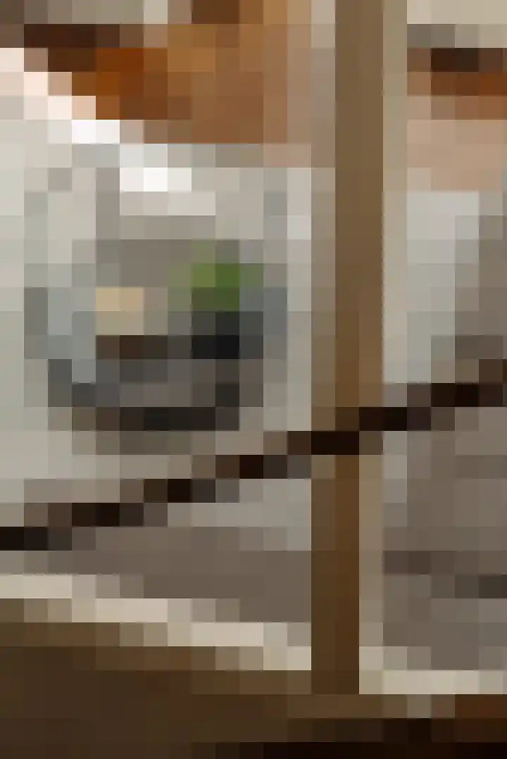 Borneostraat 4 E Amsterdam thumbnail 11
