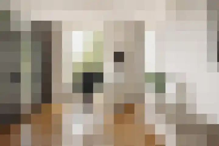 Borneostraat 4 E Amsterdam thumbnail 18