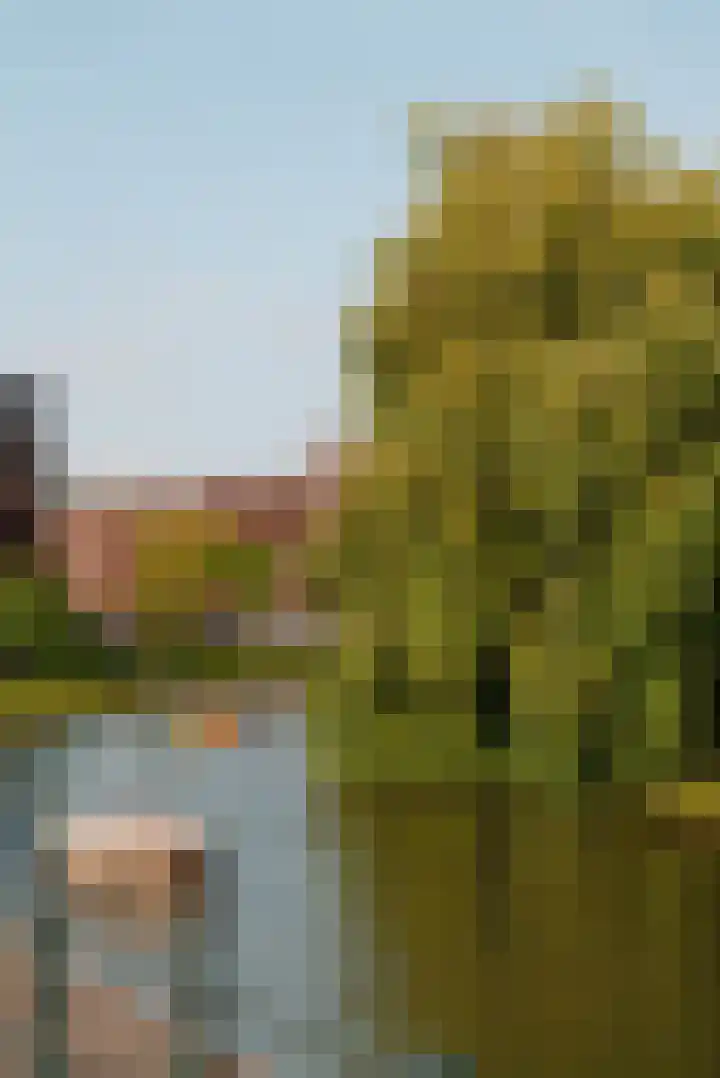 Borneostraat 4 E Amsterdam thumbnail 26