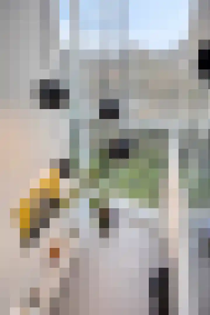 Borneostraat 4 H Amsterdam thumbnail 18