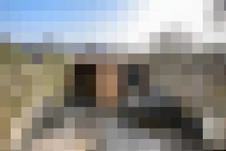 Borneostraat 4 Vlaardingen thumbnail 4