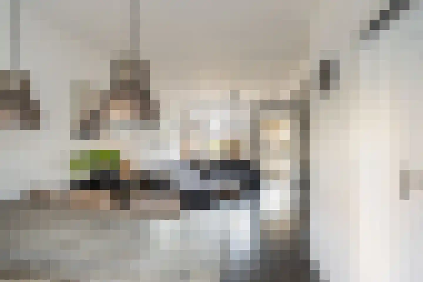 Borneostraat 4 Vlaardingen thumbnail 9