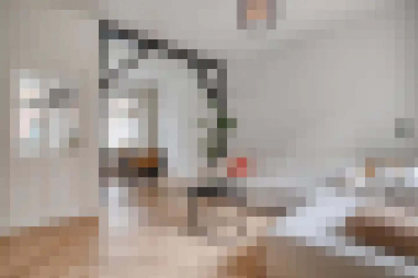 Borneostraat 42 Zwolle thumbnail 11