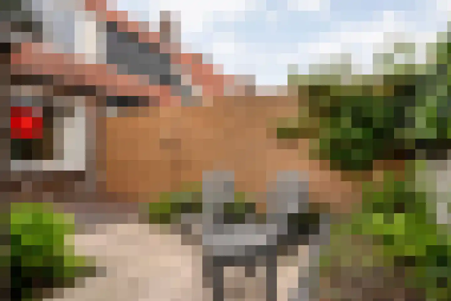Borneostraat 42 Zwolle thumbnail 29