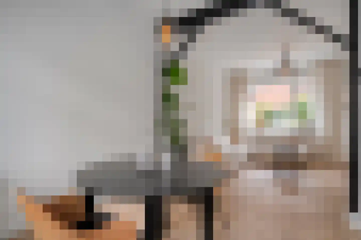Borneostraat 42 Zwolle thumbnail 8