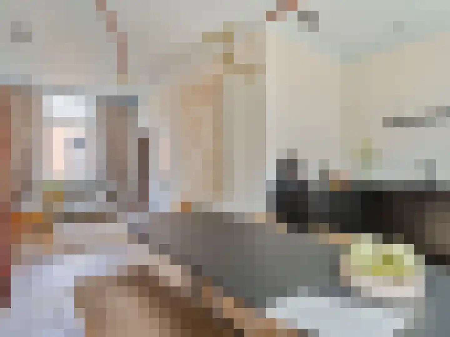 Borneostraat 5 BS Utrecht thumbnail 16