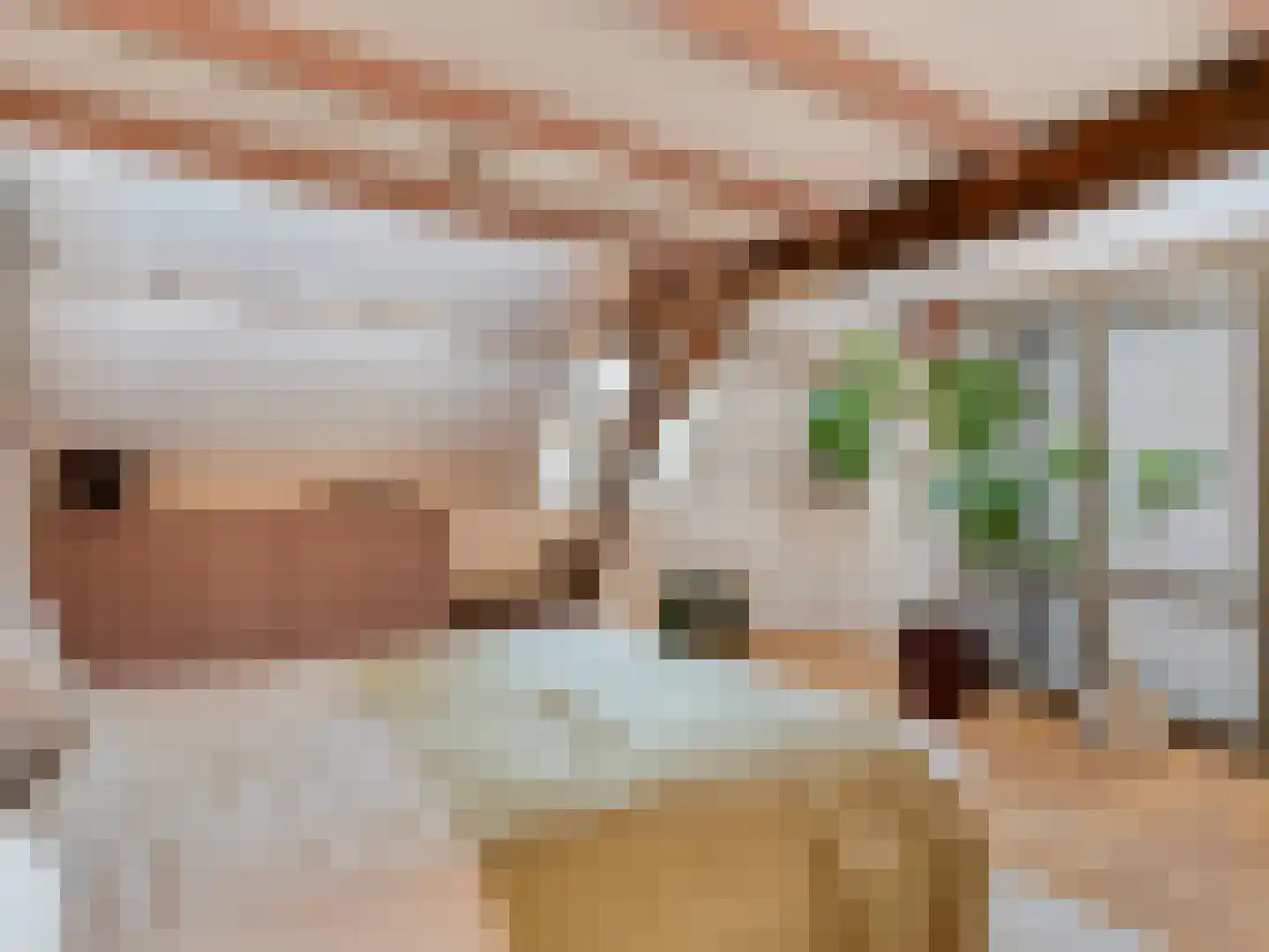 Borneostraat 5 BS Utrecht thumbnail 26