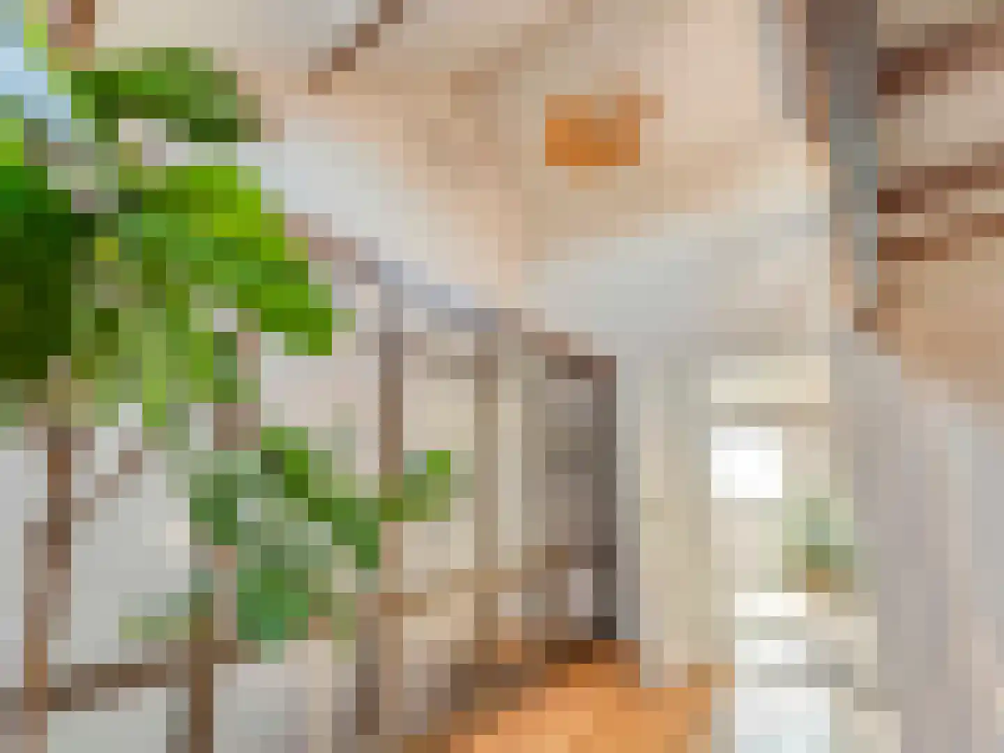 Borneostraat 5 BS Utrecht thumbnail 27