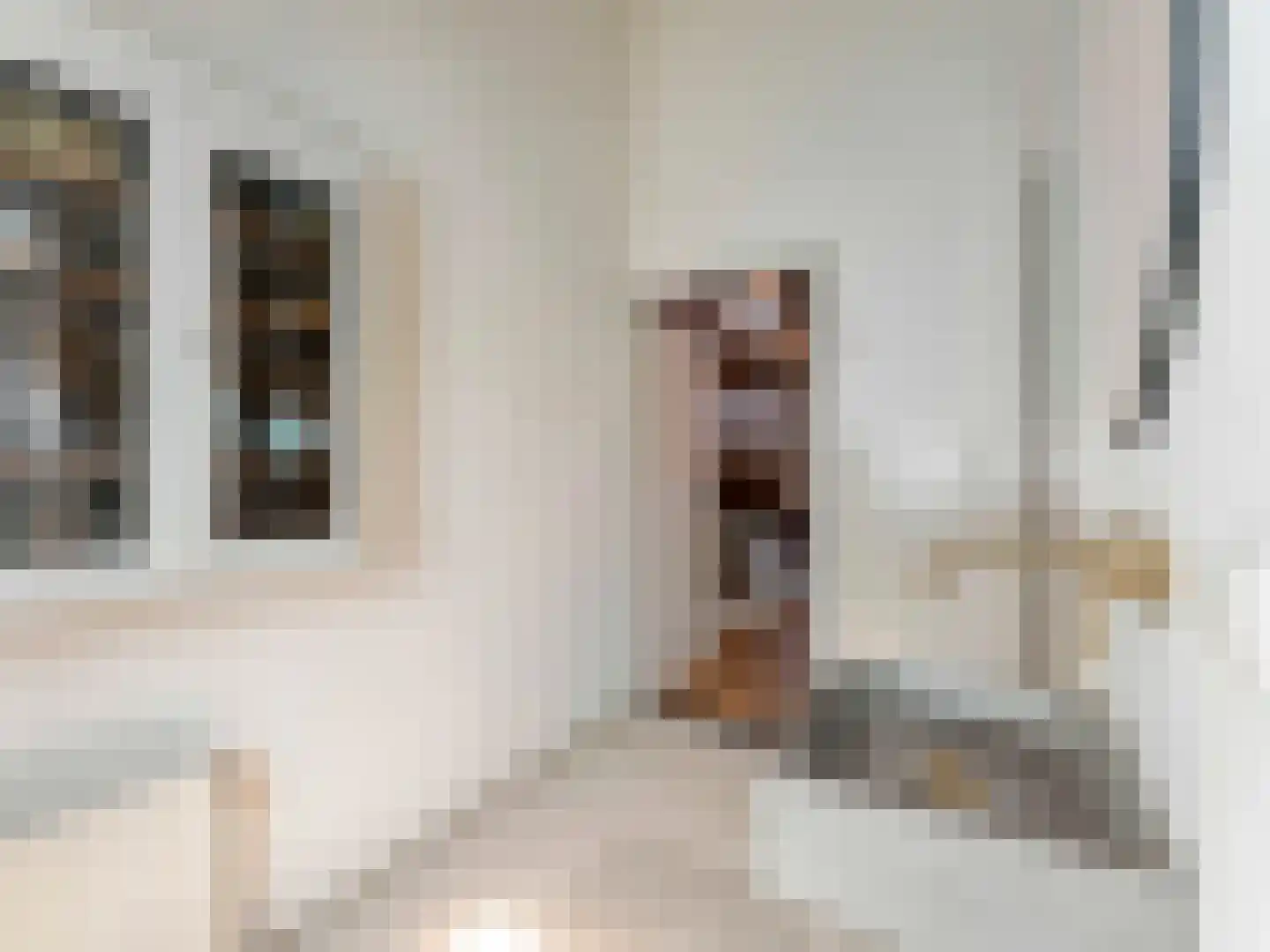 Borneostraat 5 BS Utrecht thumbnail 29