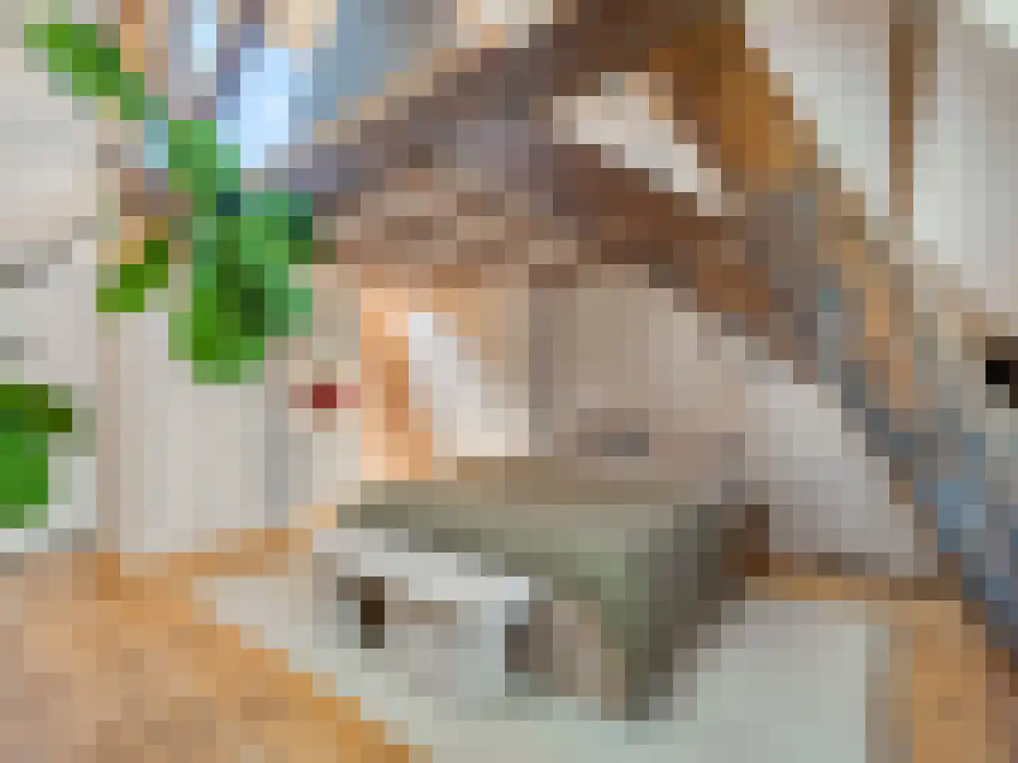 Borneostraat 5 BS Utrecht thumbnail 33