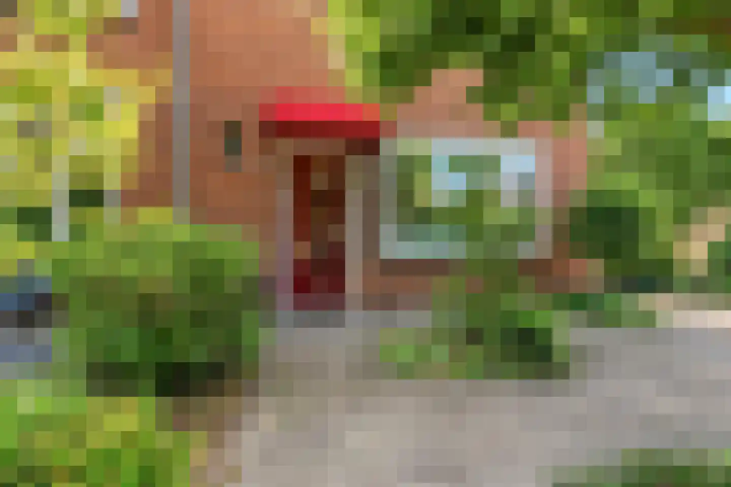 Borneostraat 5 Doetinchem thumbnail 23