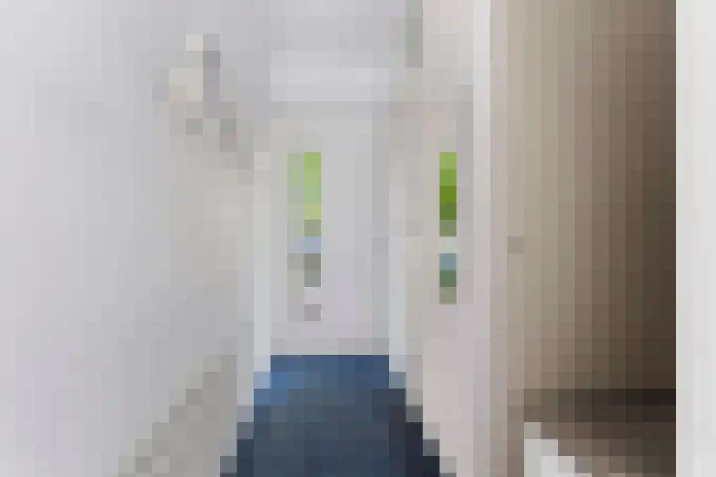 Borneostraat 5 Doetinchem thumbnail 42