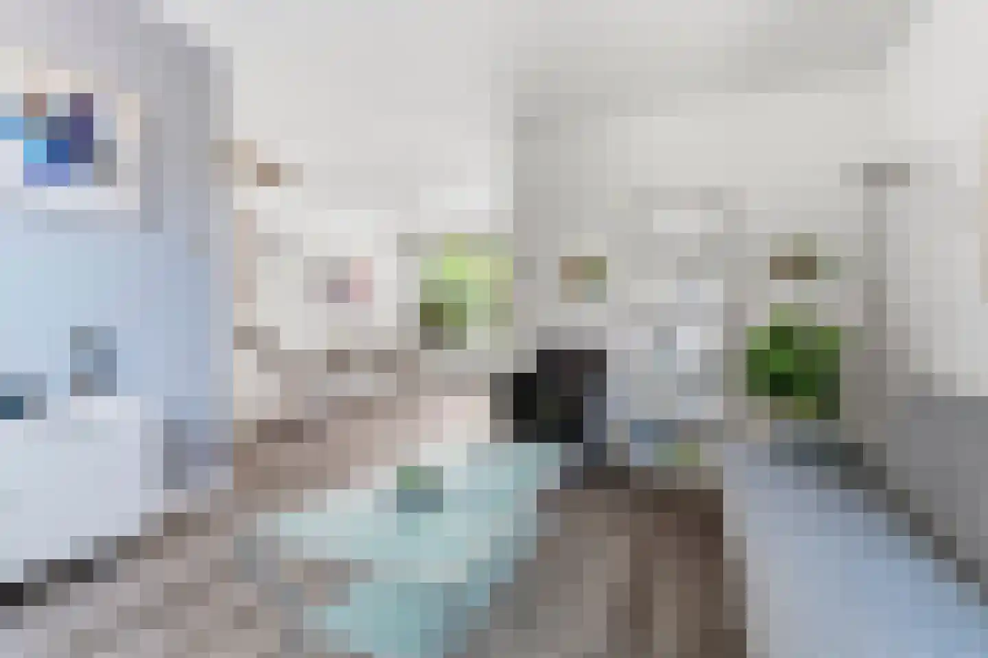 Borneostraat 5 Doetinchem thumbnail 5