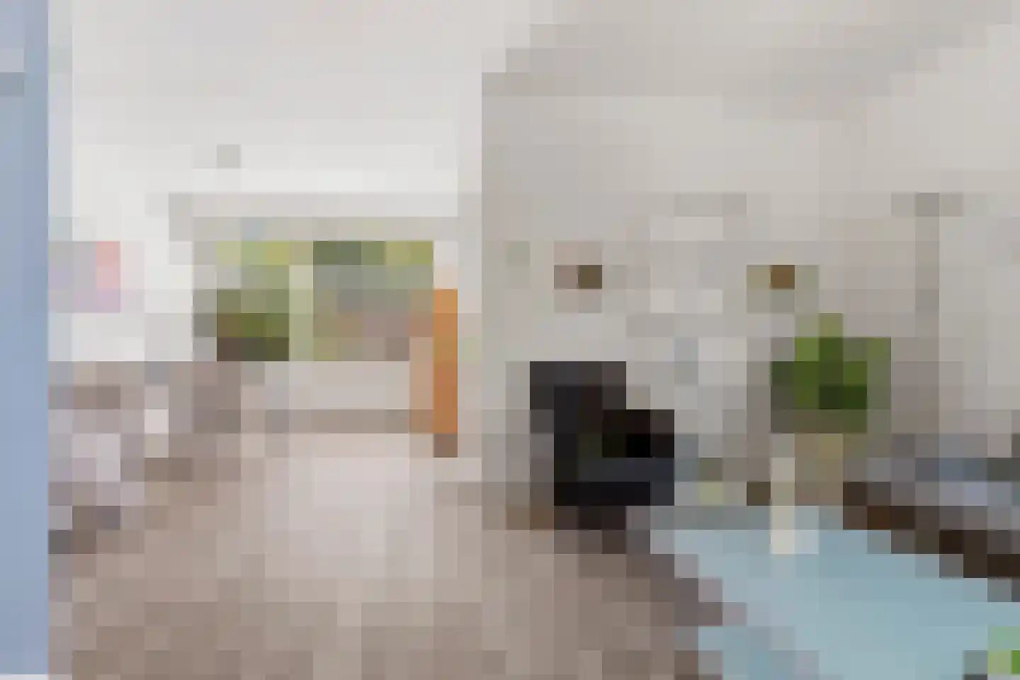 Borneostraat 5 Doetinchem thumbnail 6