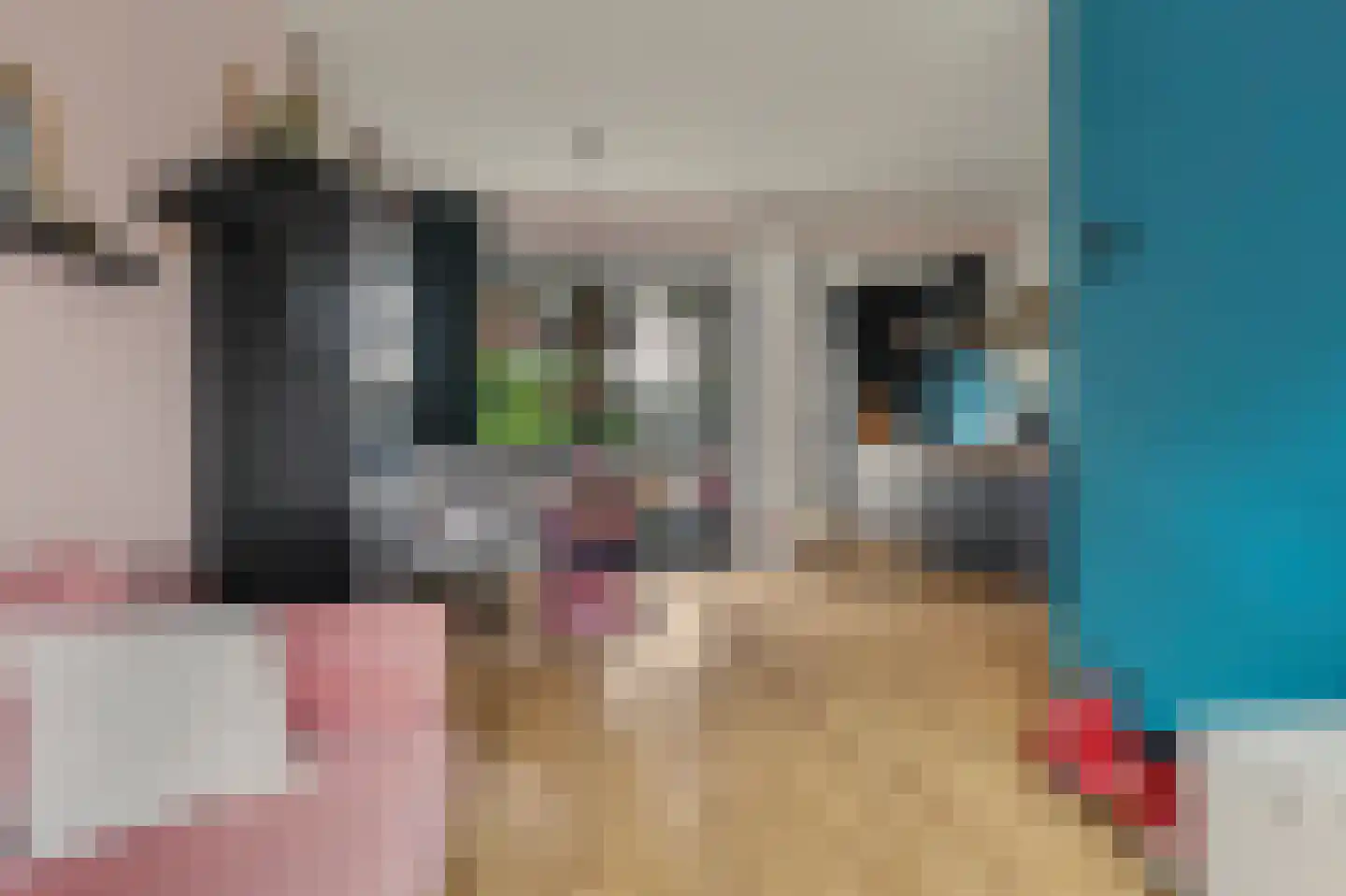 Borneostraat 5 Oegstgeest thumbnail 15