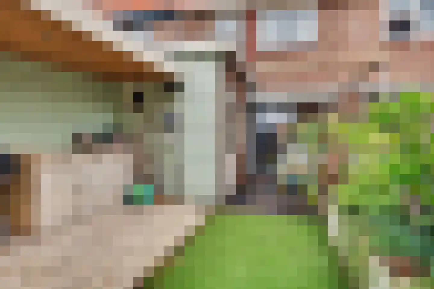 Borneostraat 5 Oegstgeest thumbnail 38