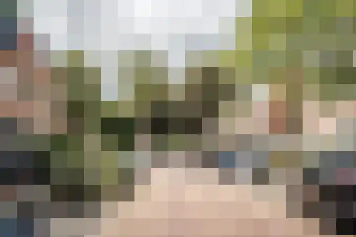 Borneostraat 57 Heemstede thumbnail 32