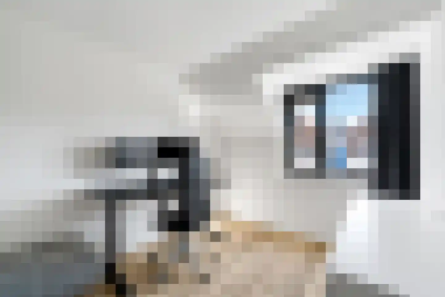 Borneostraat 65 Zwolle thumbnail 14