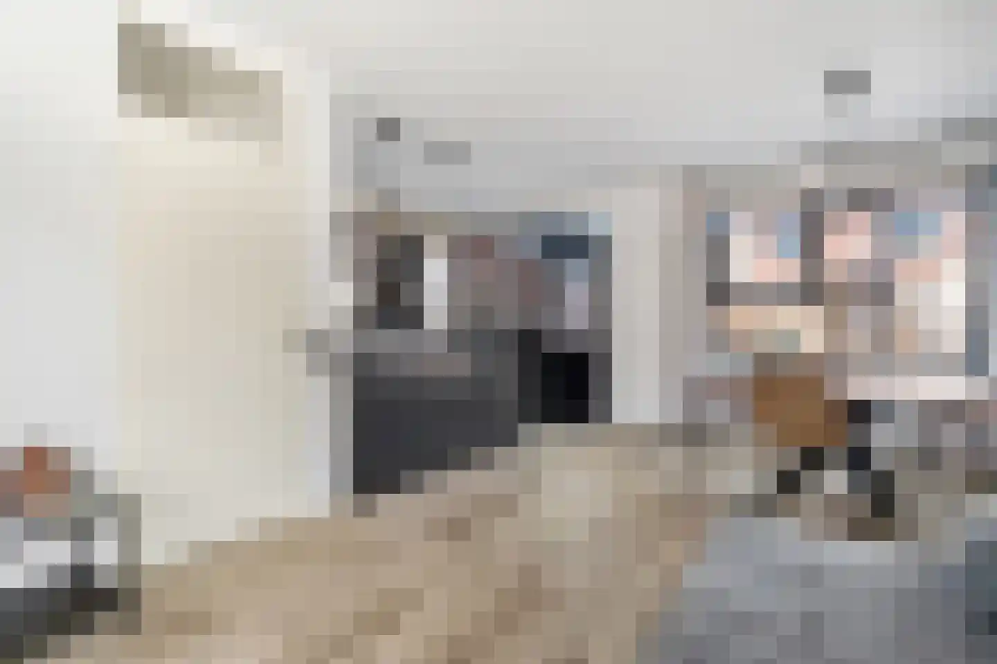 Borneostraat 65 Zwolle thumbnail 4