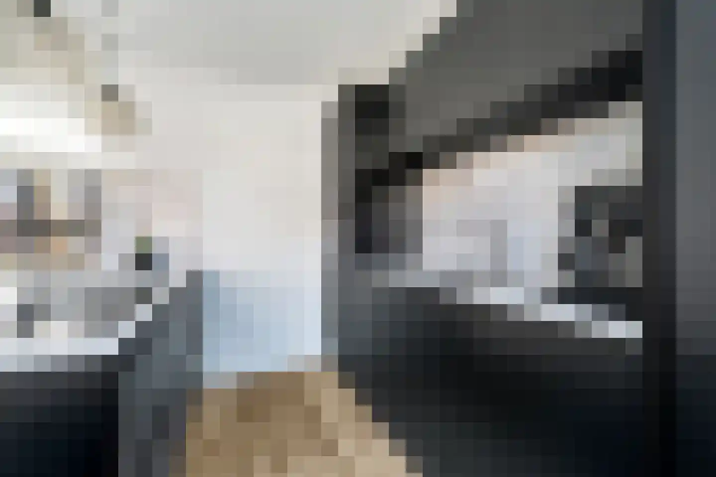Borneostraat 65 Zwolle thumbnail 6