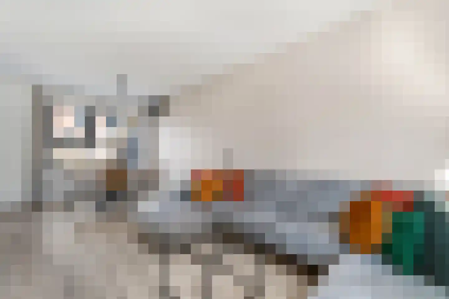 Borneostraat 65 Zwolle thumbnail 8