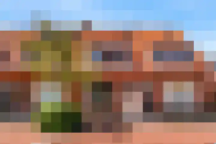 Borneostraat 66 Leiden thumbnail 4