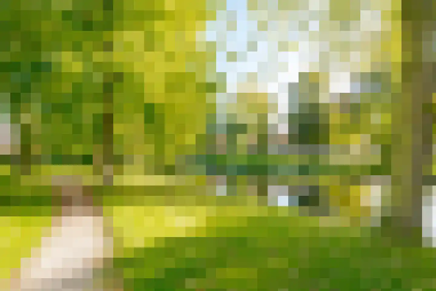 Borneostraat 70 Zwolle thumbnail 37