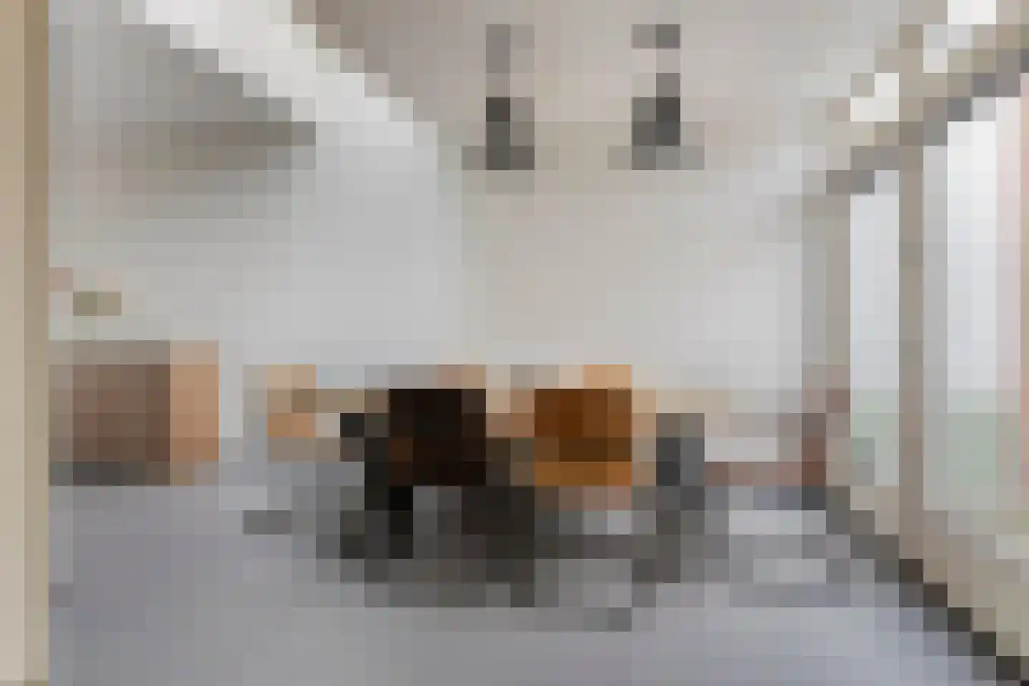 Borneostraat 9 Tilburg thumbnail 4
