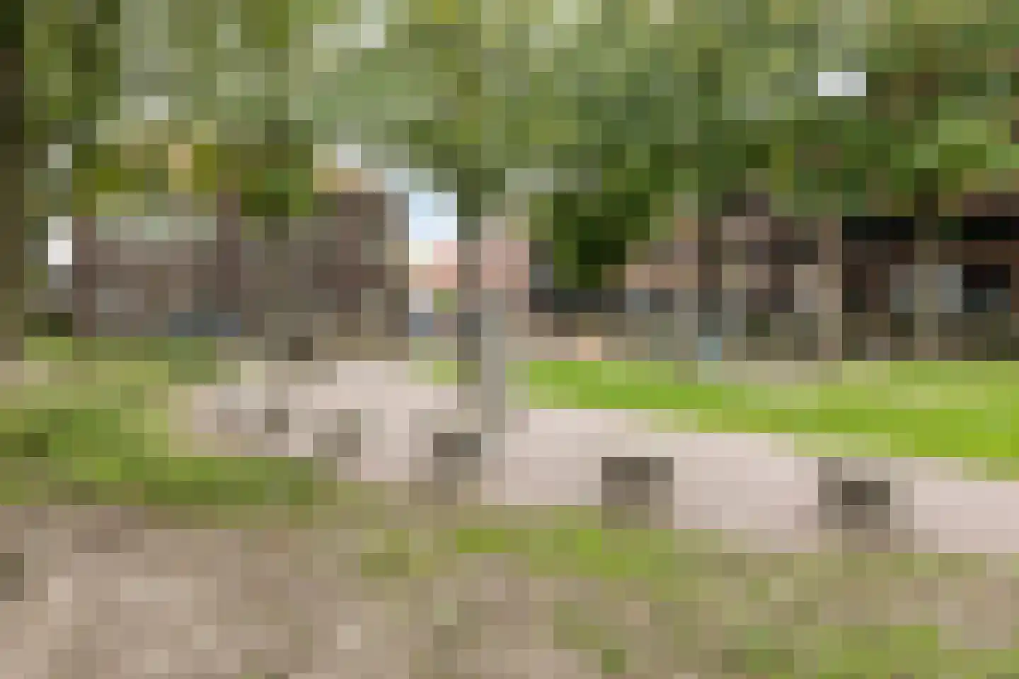 Borneostraat 9 Tilburg thumbnail 50