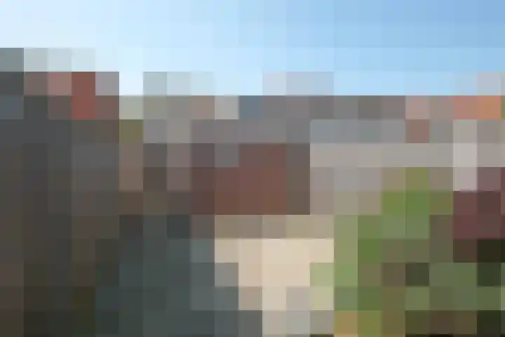 Bornerbroeksestraat 112 Almelo thumbnail 18